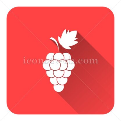 Grape flat icon with long shadow vector – graphic design icon - Icons for website