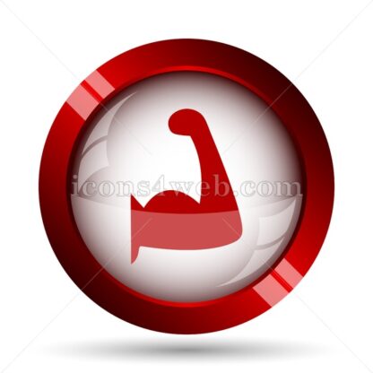 Muscle website icon. High quality web button. - Icons for website