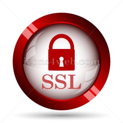 SSL website icon. High quality web button. - Icons for website