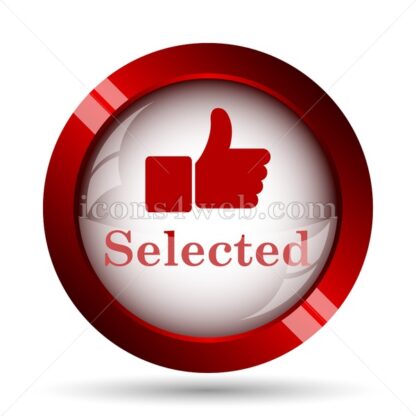 Selected website icon. High quality web button. - Icons for website