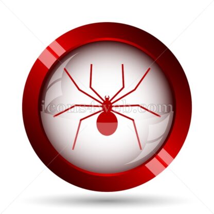 Spider website icon. High quality web button. - Icons for website