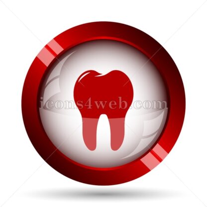 Tooth website icon. High quality web button. - Icons for website
