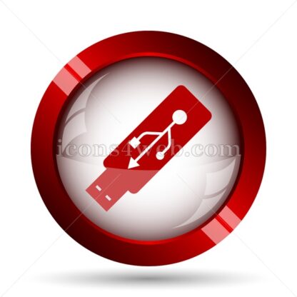 Usb flash drive website icon. High quality web button. - Icons for website
