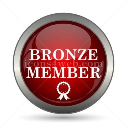 Bronze member vector icon - Icons for website