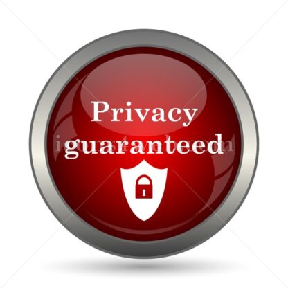 Privacy guaranteed vector icon - Icons for website