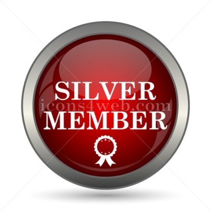 Silver member vector icon - Icons for website