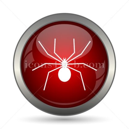 Spider vector icon - Icons for website