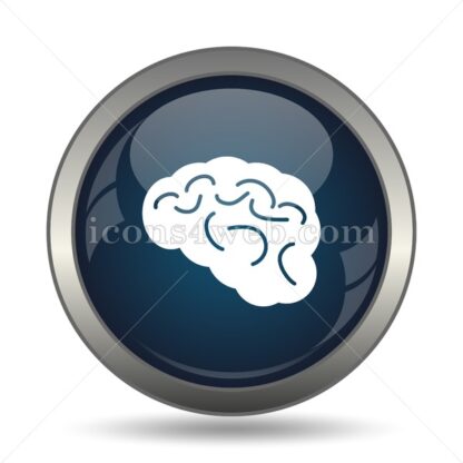 Brain icon for website – Brain stock image - Icons for website