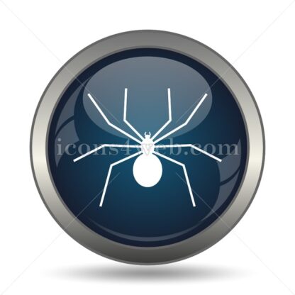 Spider icon for website – Spider stock image - Icons for website